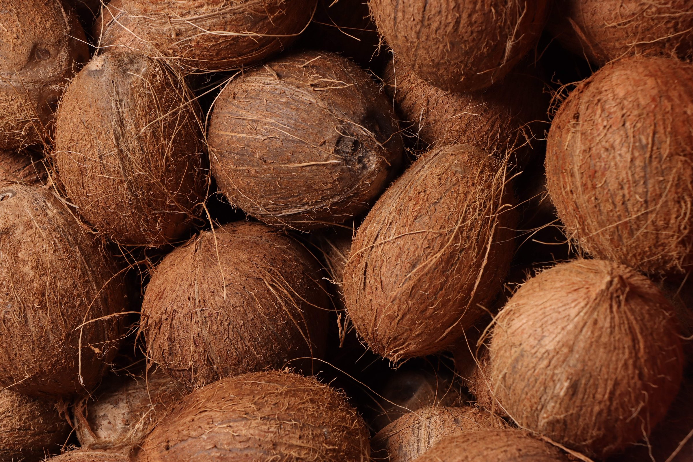 Cocos con su fibra natural apilados